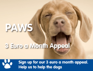 paws 3 euro a month appeal