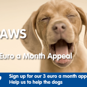 paws 3 euro a month appeal