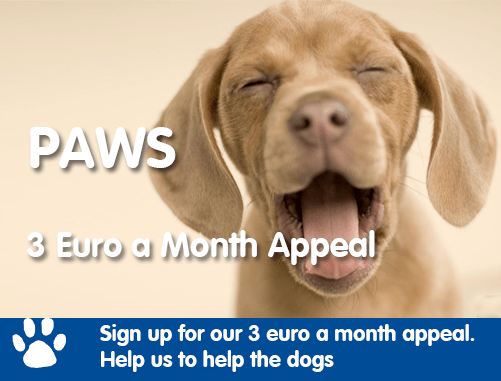 PAWS 3 euro a month appeal