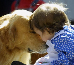 dog meets baby