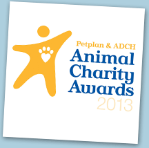 Sarah wins Animal Charity Employee of the Year