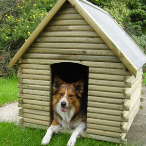 sponsor_dog_kennel