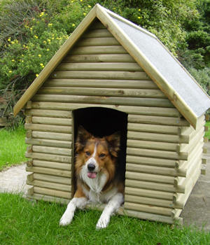 A kennel on sale