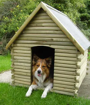 sponsor_dog_kennel