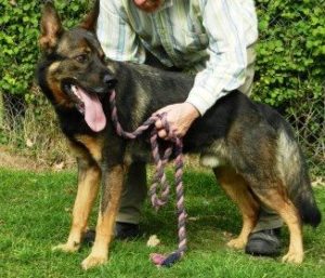 10426764_1099688460083662_4300756986604723710_n