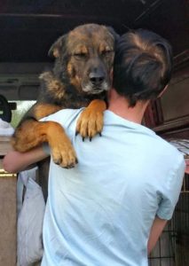 1911815_1108043495914825_4974692645850026679_n