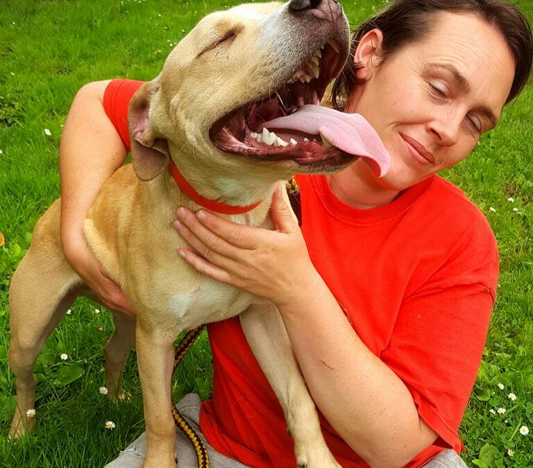 Meet Our Special Long Term Dogs looking for their forever home