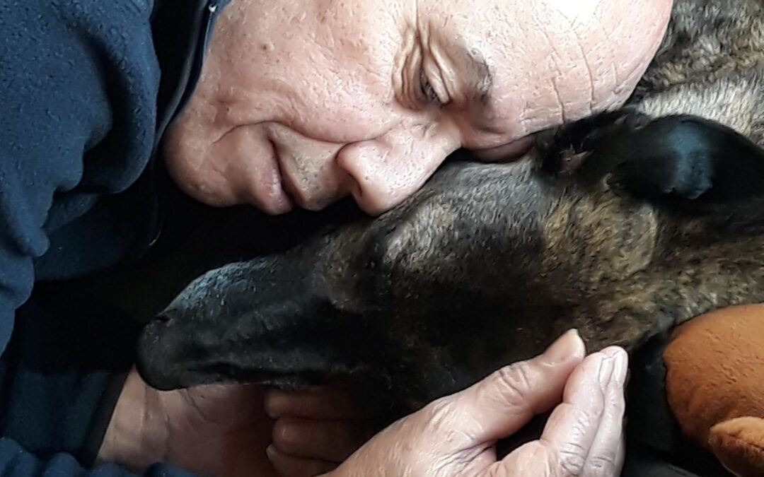 success stories – Topper found his forever home