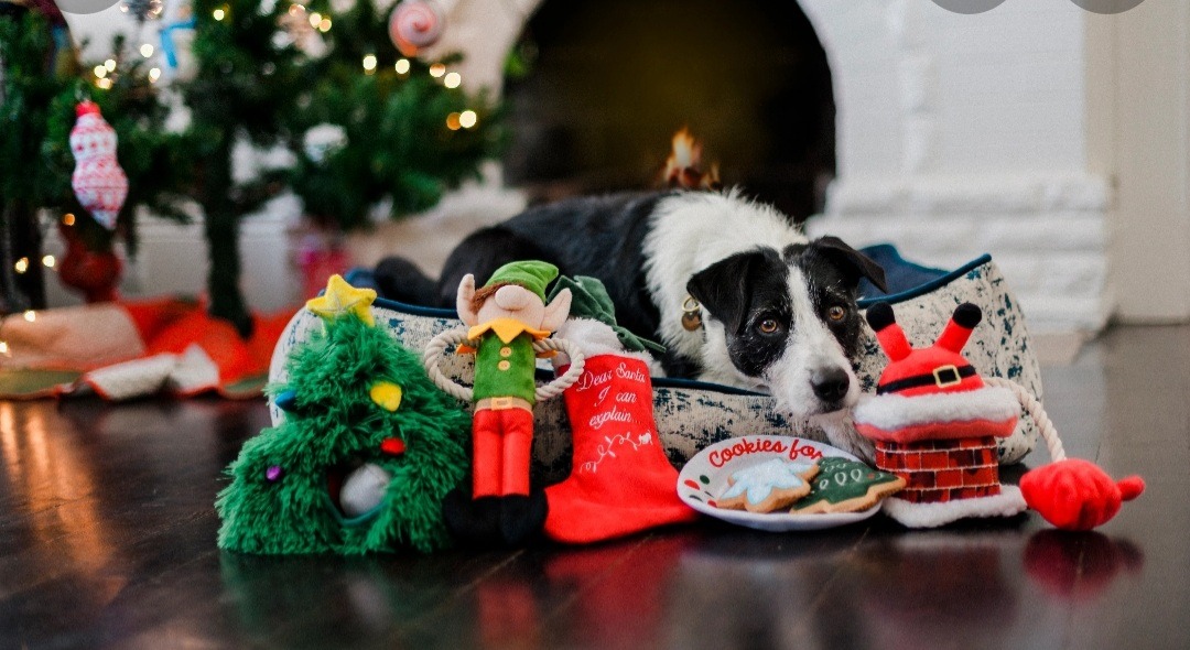 Christmas charity collection drive for PAWS