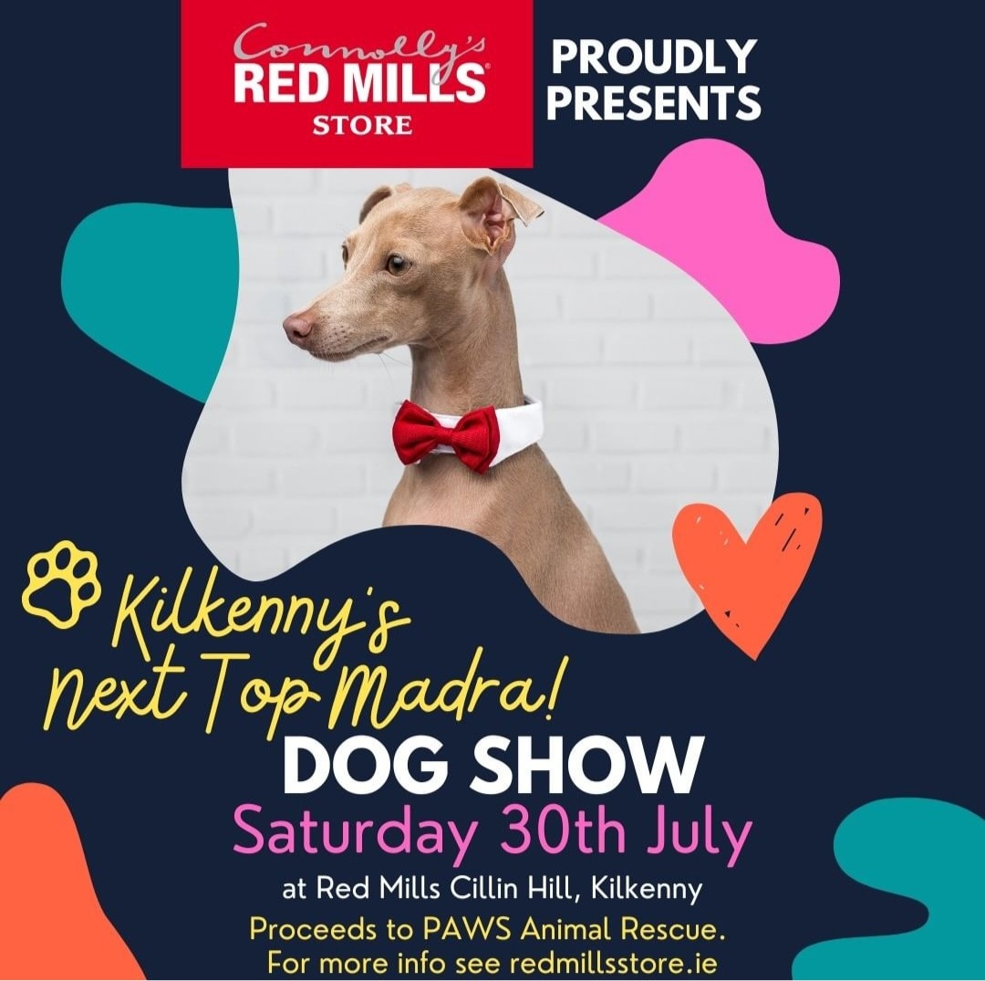 Kilkenny’s Next Top Madra success thanks to Connolly’s Redmills in Cillin Hill, Kilkenny