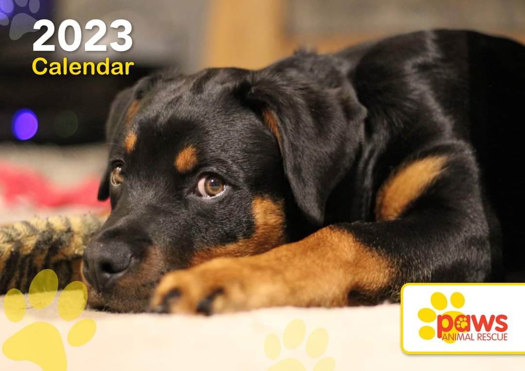 2023 PAWS Calendars out now!