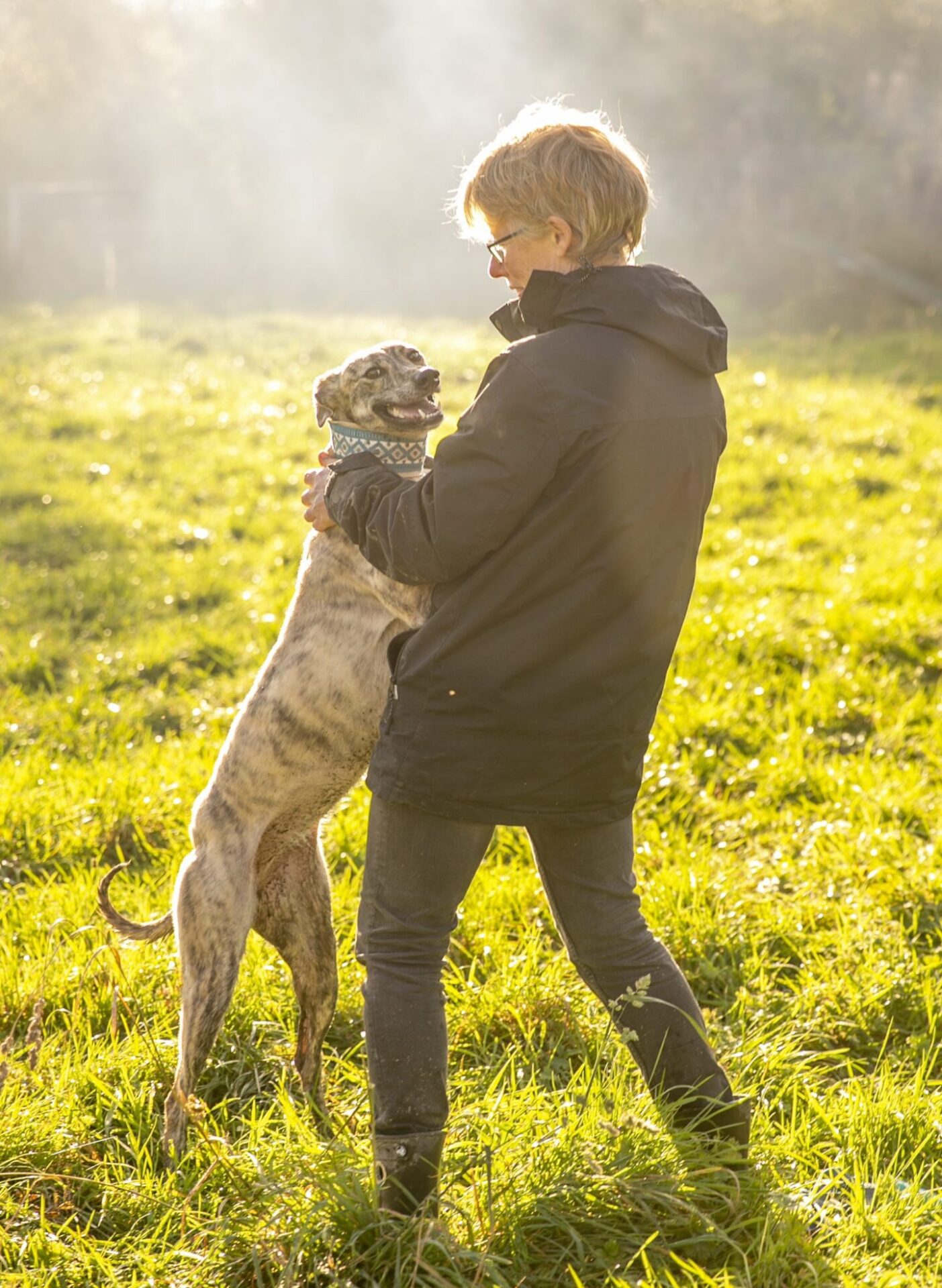 How do I socialise my adolescent dog?