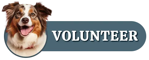 PAWS Action Button Volunteer On