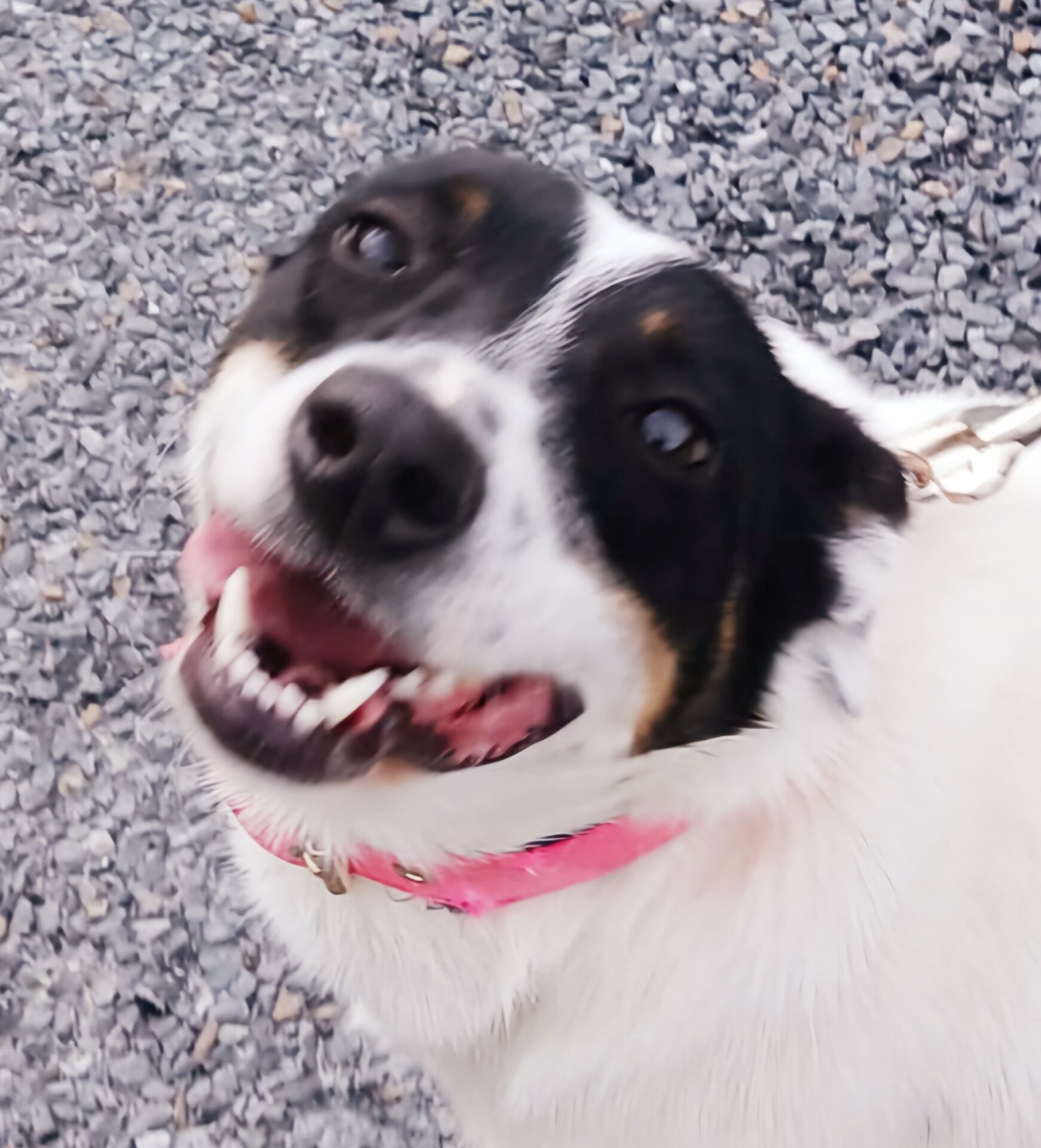 Fiona