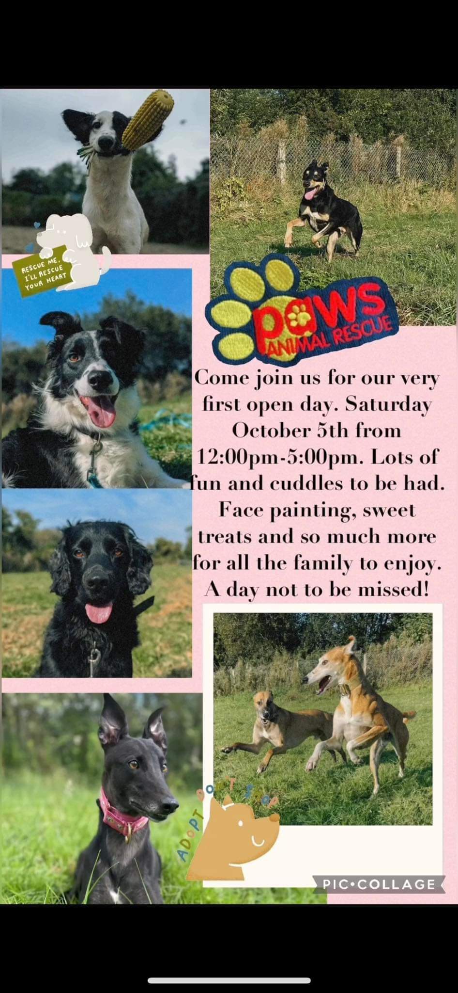 The very first PAWS open day
