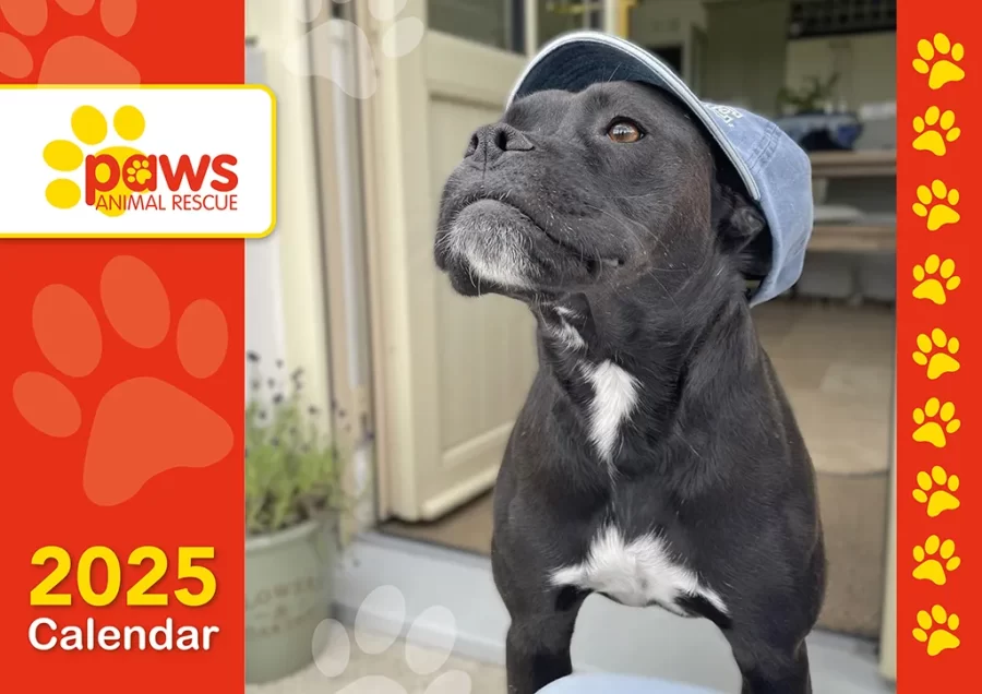 PAWS Calendar 2025