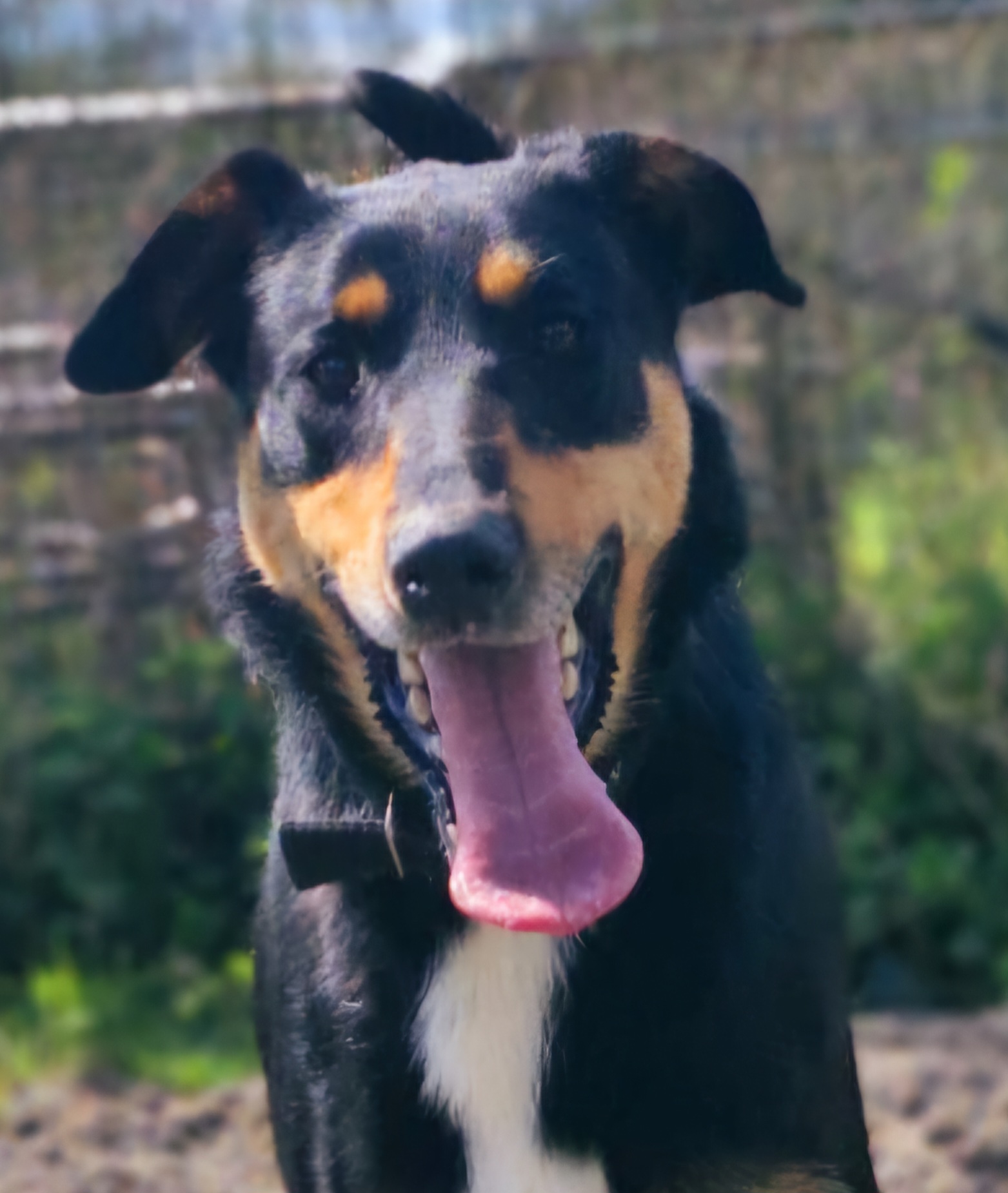Benny
