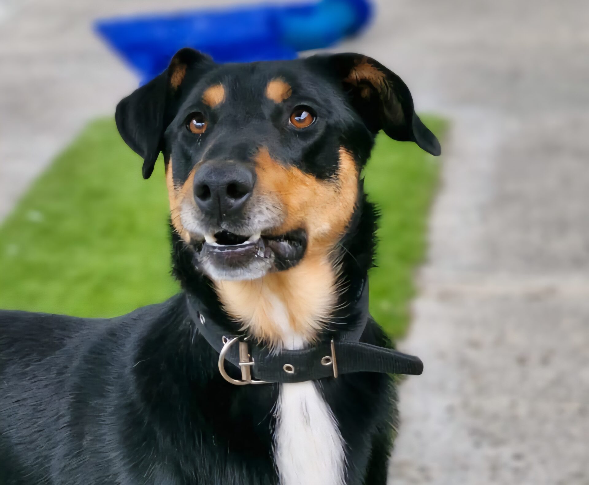 Benny