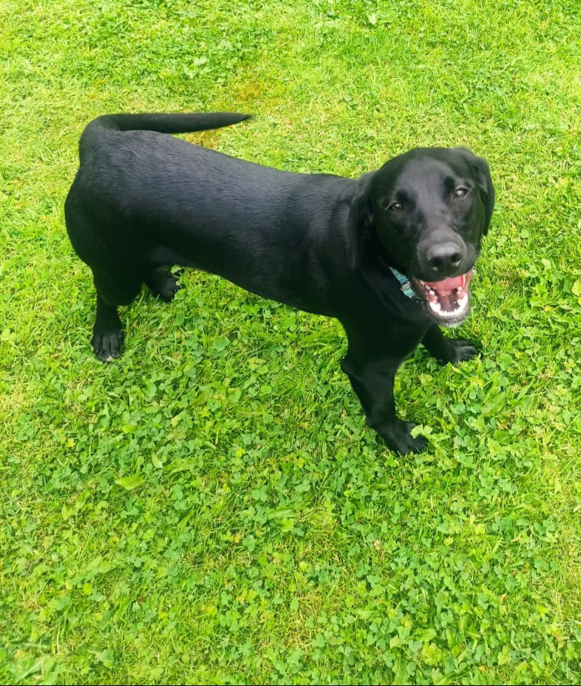 Odin