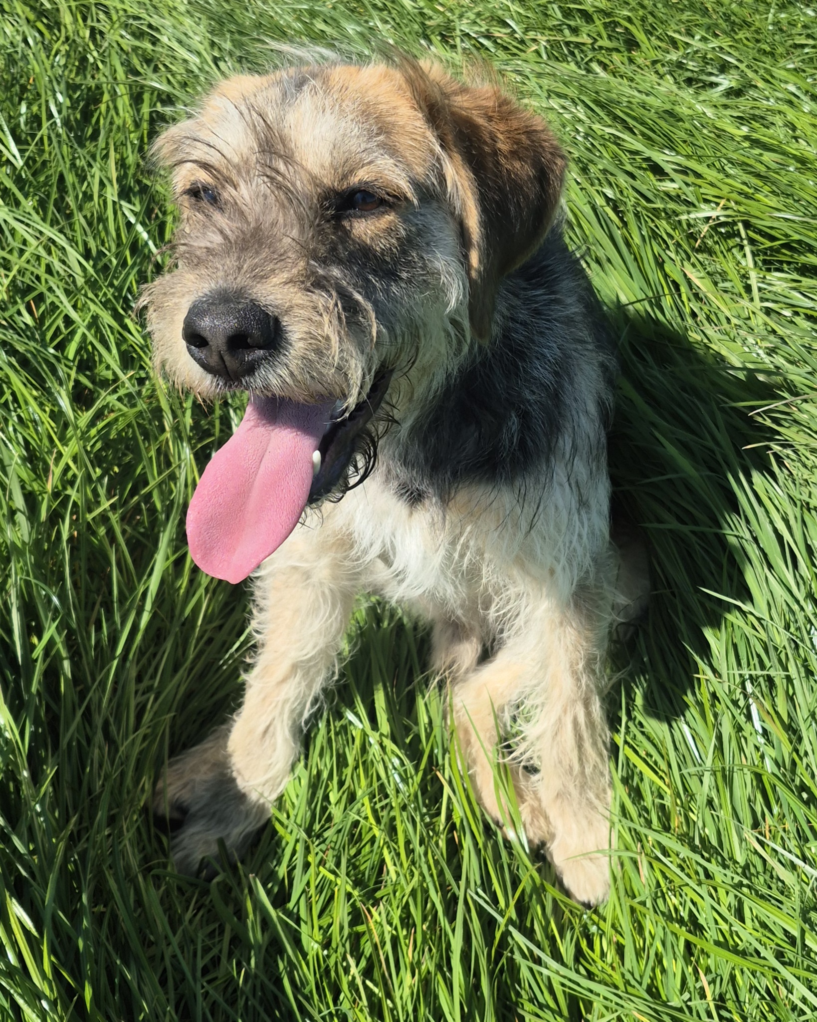 Cooper-Private Rehoming